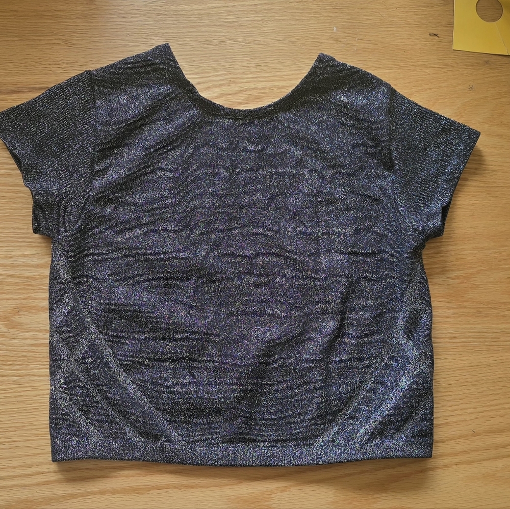 OFFLINE By Aerie Seamless Lurex T-Shirt